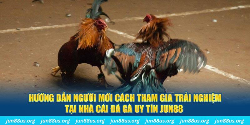 vv88 CQ9 Điện Tử