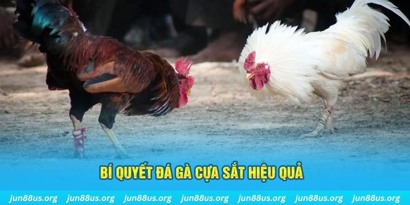 vv88 xin 1 slot là gì