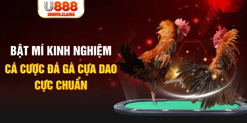 vv88 tỷ lệ cá cược châu á là gì