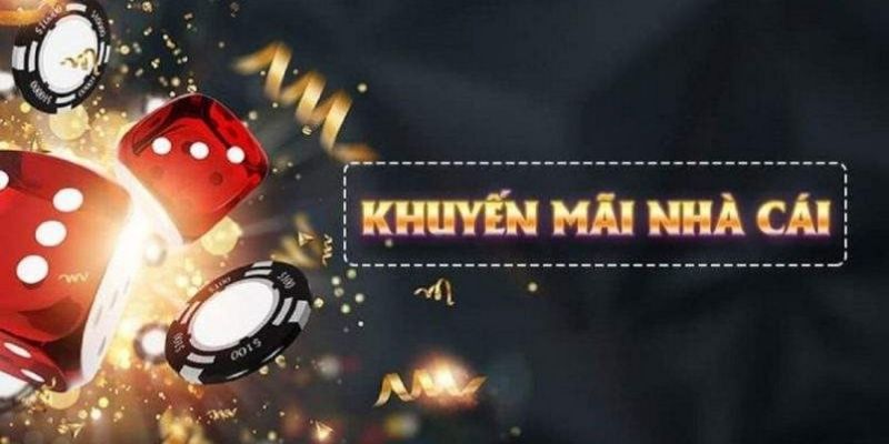 what is live dealer casino