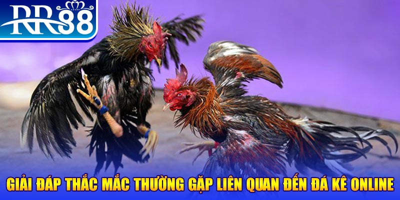 vv88 slot machine là gì