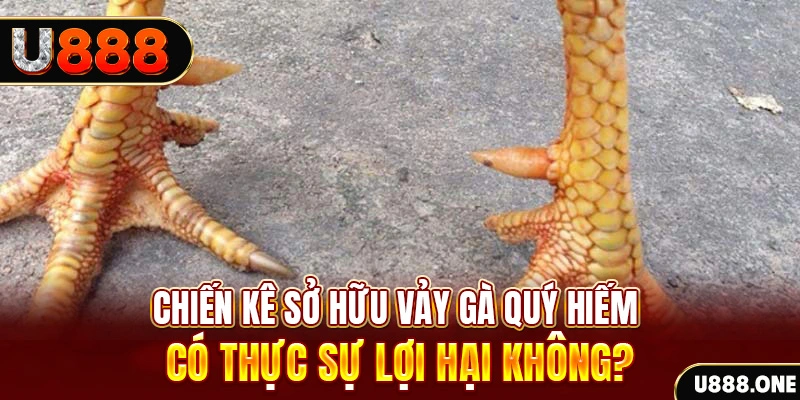 vv88 nohu .mx nổ hủ là gì