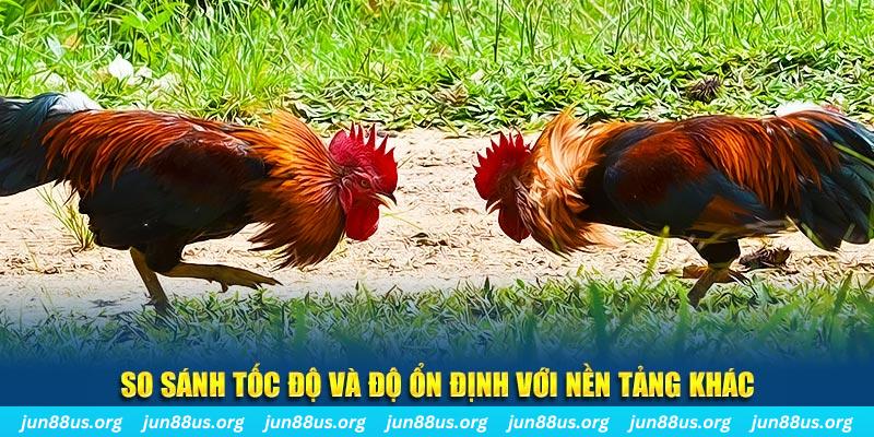 vv88 đá gà hôm nay