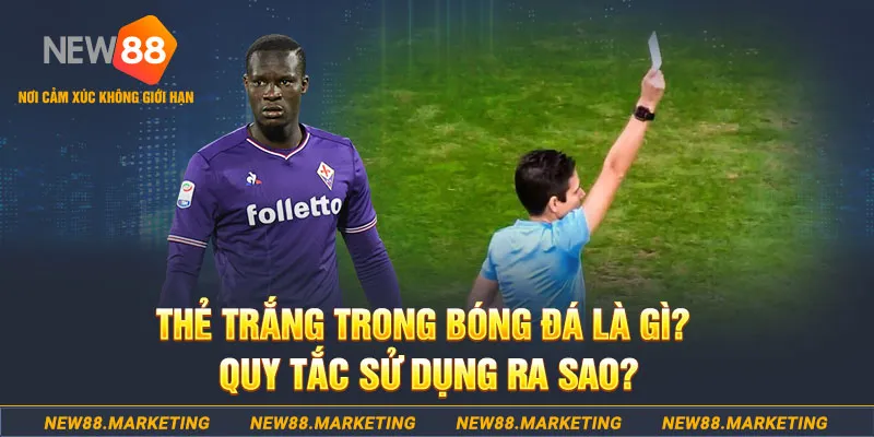 vv88 gà chọi mộc hóa