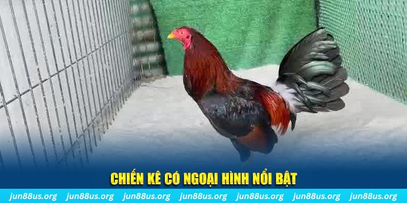 vv88 chạy quảng cáo cho game bài bị phạt như thế nào